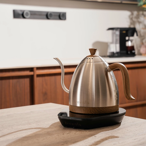 Brewista Artisan Gooseneck Stříbrná konvice 1 l